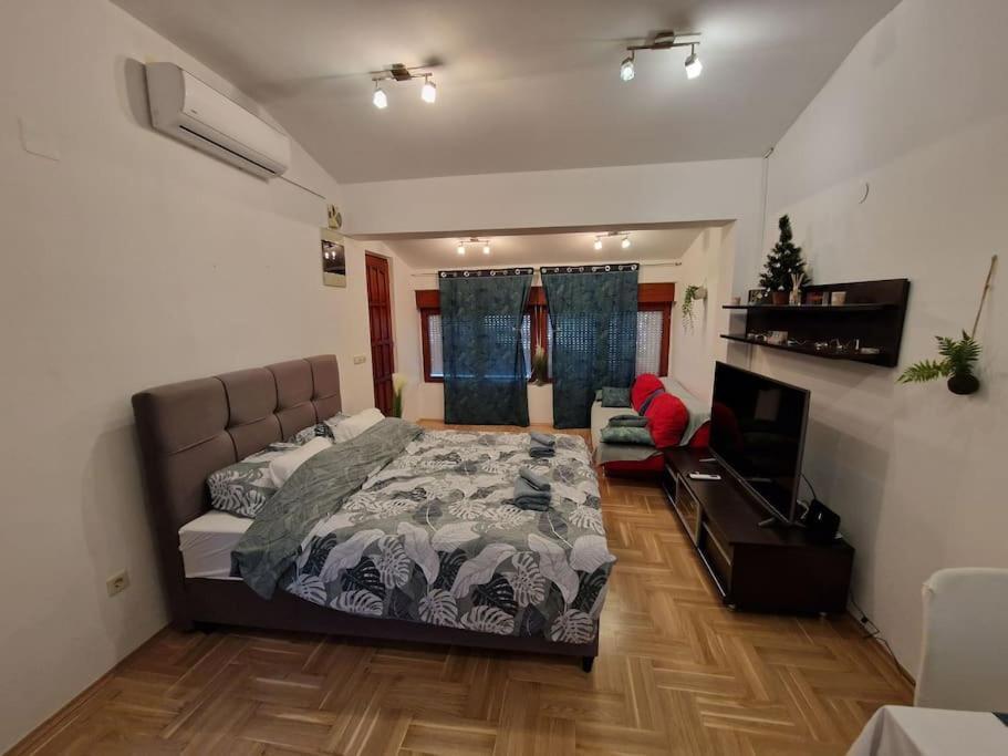 Warm House Full Of Green Ambient,Joy And Comfort Zagreb Buitenkant foto